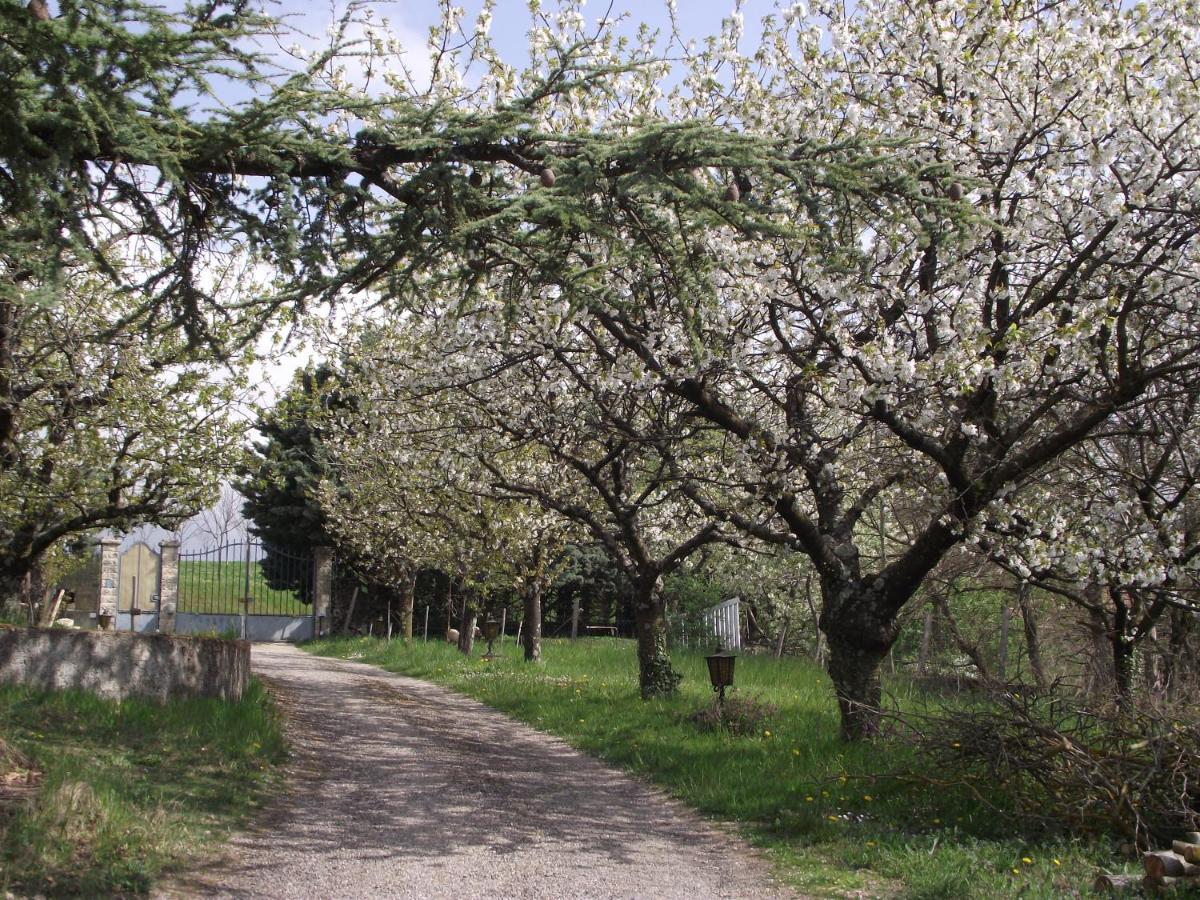 Domaine Des Cigales, Chambre D'Hotes Saint-Martin-d'Aout エクステリア 写真